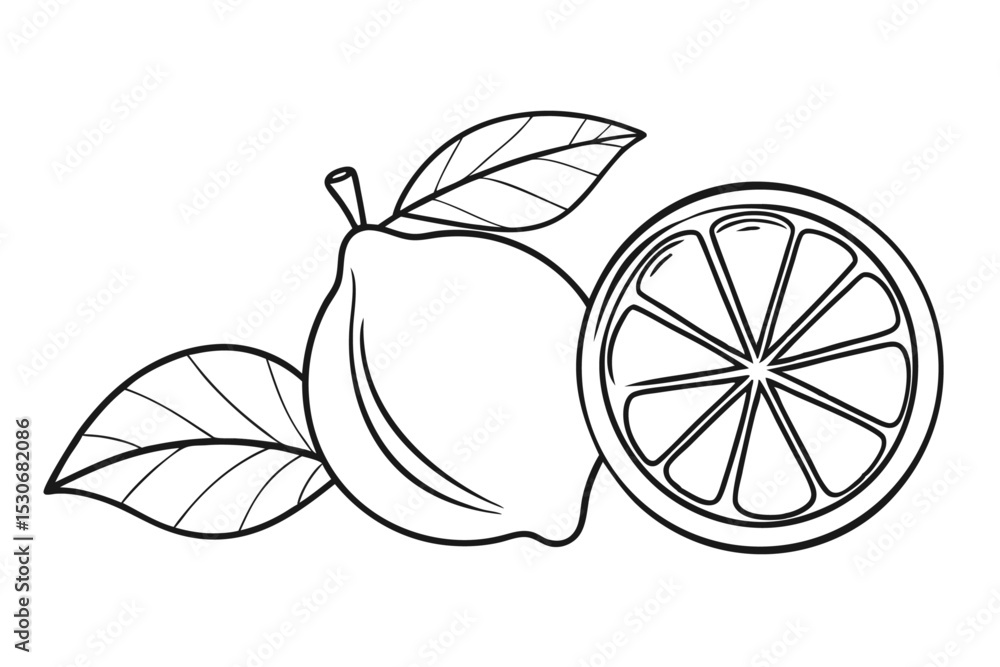 Poster Continuous line drawing of whole and halved lemons isolated on transparent background