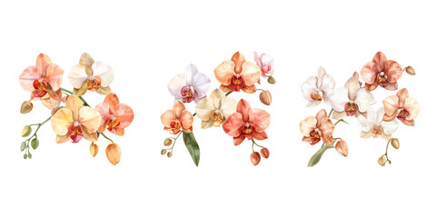 Elegant watercolor illustration of blooming orchid flowers. Botanical watercolor design featuring exotic orchid blossoms. 