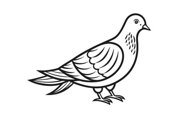 Fototapeta premium Elegant line art dove illustration isolated on transparent background