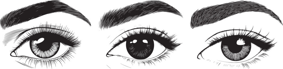Eye and Eyebrow Vector Set, Black and White Illustration.