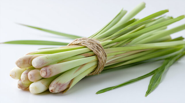 Fresh Lemongrass Bundles Tied With Twine