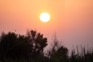 sunset in the mountains