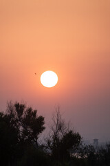 Fototapeta premium sunset in the sky