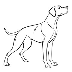 Obraz premium Black silhouette illustration of a standing dog with an alert posture, showcasing its strong physique and attentive expression, ideal for pet-related designs and projects