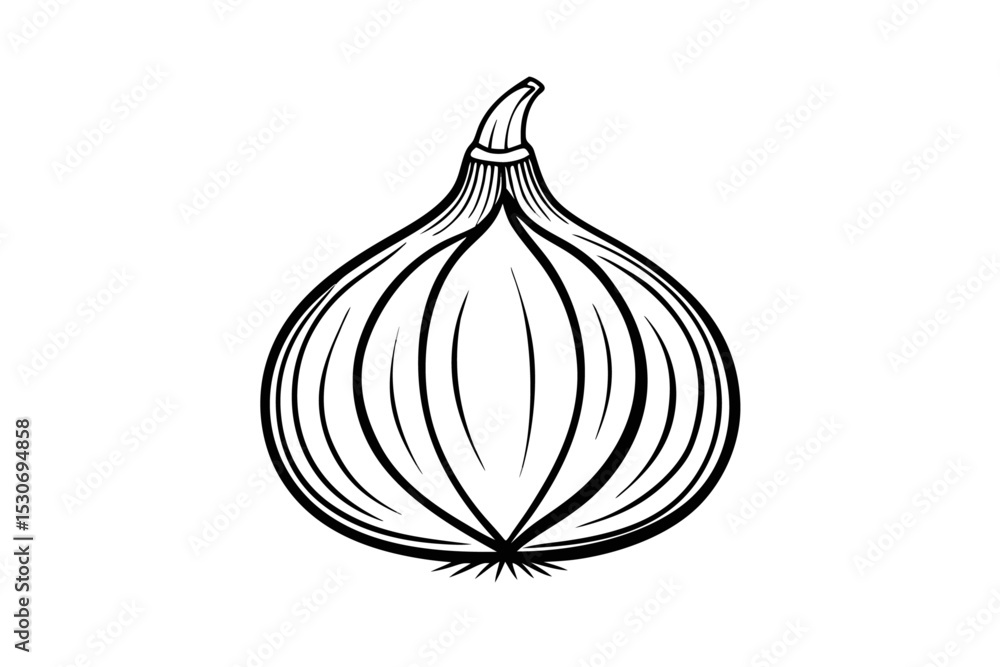 Poster continuous line art drawing of an onion isolated on transparent background