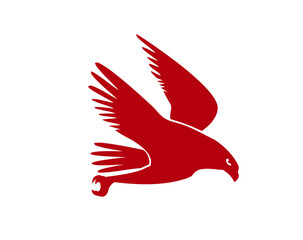 vector illustration of a flying bird