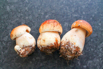 a bunch of mushrooms