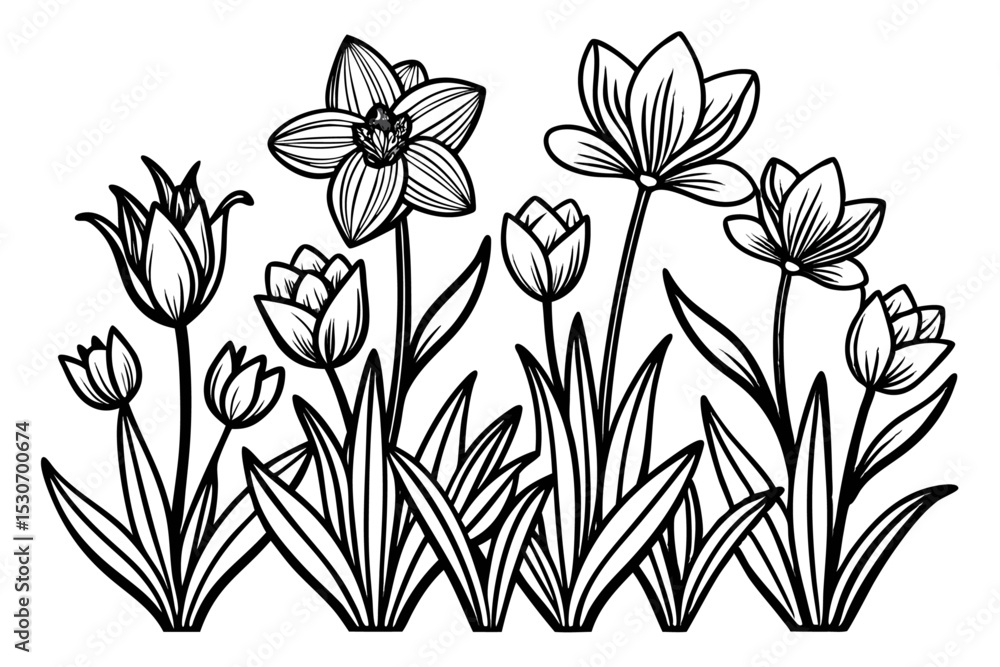 Poster spring blossom line art design isolated on transparent background