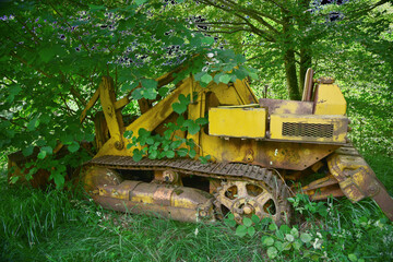 Escavatore giallo abbandonato riconquistato dalla vegetazione spontanea del bosco