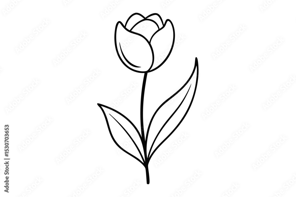 Poster abstract tulip line drawing isolated on transparent background