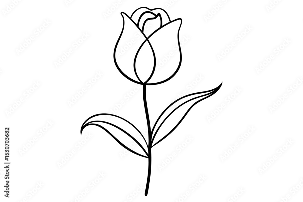 Poster abstract tulip line drawing isolated on transparent background