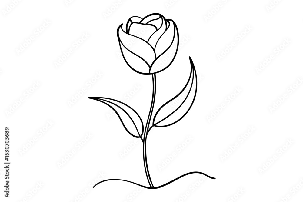 Poster abstract tulip line drawing isolated on transparent background