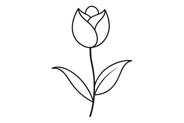 Abstract tulip line art drawing isolated on transparent background