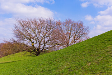 Spring in the Olympic Park