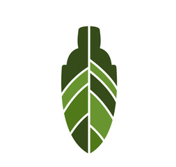 green leaf isolated on white background