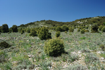 Il sentiero per nuraghe Mereu e nuraghe Gorropu nel Supramonte di Orgosolo, località Campu Su...