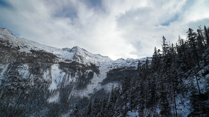 Huge snow covered rock mountain and pine tree on winter season. 
