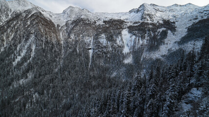 High Snow-Covered Mountains and Pine Forest in Winter