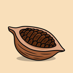 Cut Open Cocoa Pod Showing Seeds