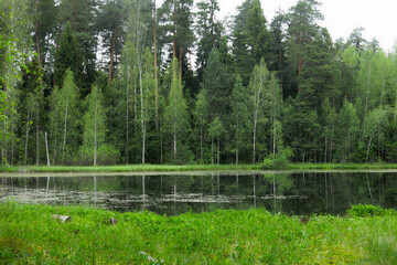 picturesque and quiet forest lake in summer in Russia