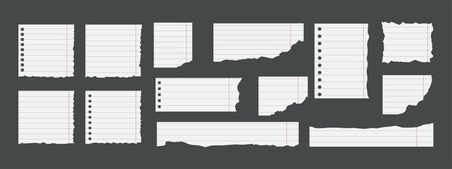 Set of lined torn notebook paper sheets with rough edges and punch holes, blank and isolated on grey background. School or office note paper. Vector illustration in flat style.