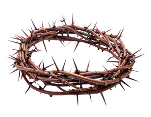 Fototapeta premium Crown of thorns Jesus Christ Isolated on Transparent or White Background
