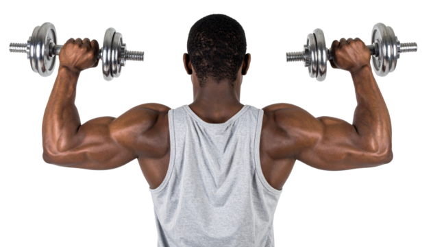 Fit guy lifting weights Isolated on Transparent or White Background