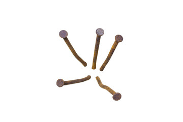 Old nail head isolated on white background