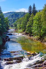 Scenic view of fast, rapid mountain river flowing through green forest with small waterfalls in the Ukrainian Carpathians. Summer landscape with bright sunlight, clear water, and peaceful nature.