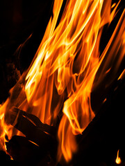 a campfire burning at night