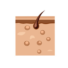 skin layer vector,skin layer illustration 