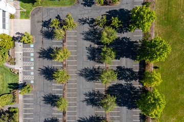 Top-down aerial drone photo of a large empty commercial parking lot in Cedar Mill, Portland, Oregon, featuring symmetrical tree rows and marked parking spaces in bright sunlight