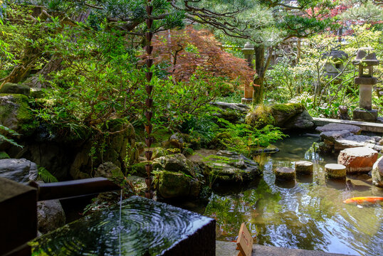 Peaceful historical natural park in Japan