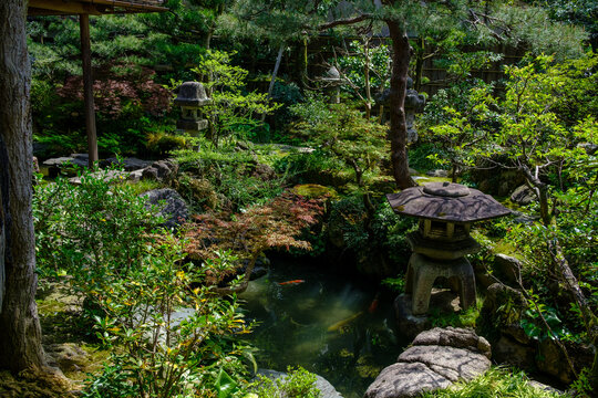 Peaceful historical natural park in Japan