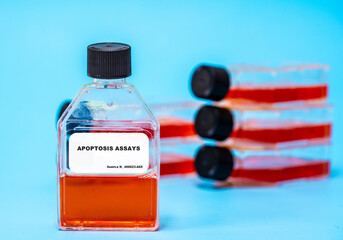 Apoptosis Assays Assessing programmed cell death in cultured