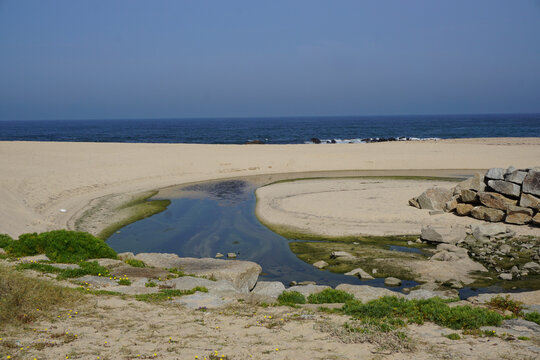 River Meets Ocean Sandy Beach
