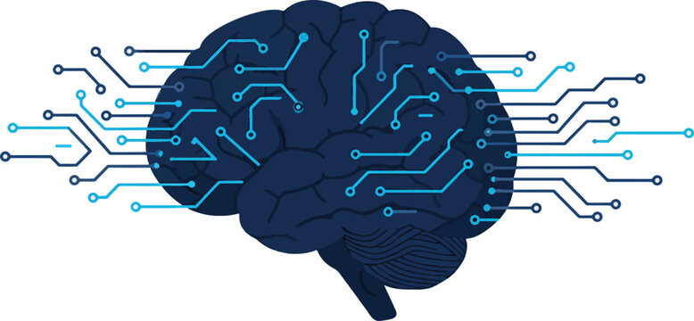 Human Brain Circuitry Exploring the Neural Networks of Cognition