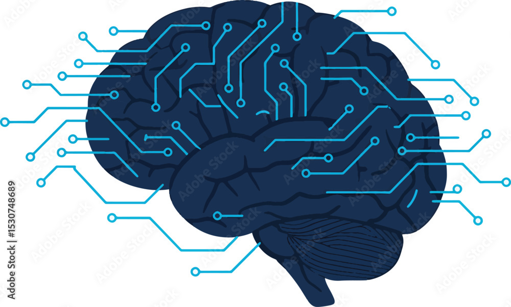 Poster human brain circuitry a visual representation of neural networks and cognitive processes