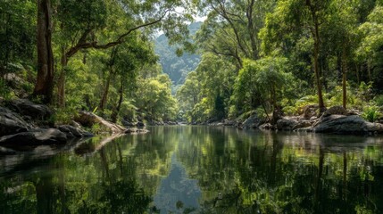 Serene River Reflecting Lush Green Forest