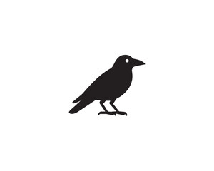 Obraz premium Crow icon vector design art illustration.