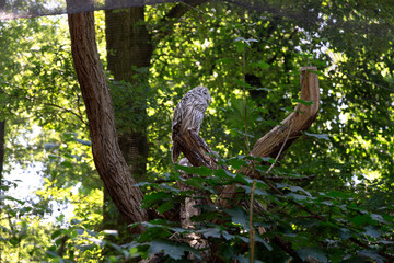 One of Europe’s best zoos, Prague Zoo is home to hundreds of animal species, lush environments, and engaging exhibits, perfect for family visits and wildlife enthusiasts