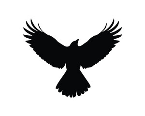 Obraz premium Black Flying bird silhouette of a crow or raven with open wings spread in flight