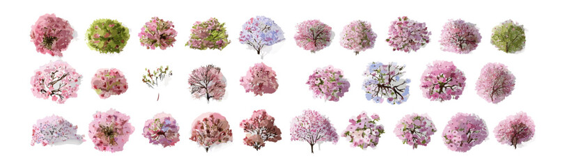 Watercolor botanical tree top view, vector illustration for spring garden plan, isolated element on white, foliage for environment design, landscaping detail, transparent background.