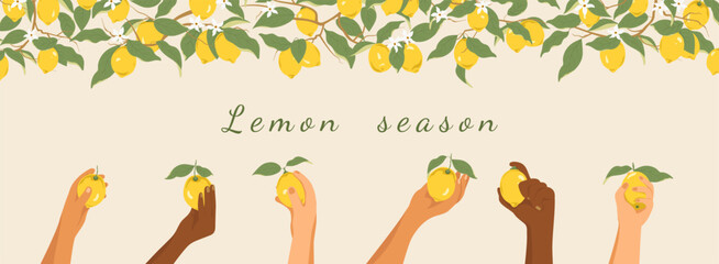 Branches of a lemon tree and different hands holding lemons. Harvesting lemons. Vector illustration with a border of lemons. Summer theme, organic food branding, packaging, advertising