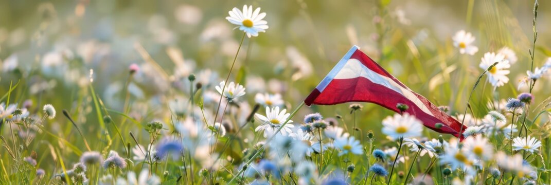 Latvian ligo day celebration with flag in wildflower meadow. Horizontal banner. Copy space. Latvian festival, summer solstice. Independence Day of Latvia - Powered by Adobe