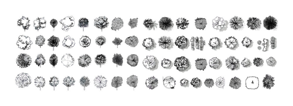 Vector illustration set of tree top view line art, diverse architectural tree shapes for landscape design, eco urban planning, mapping visuals, garden architecture.