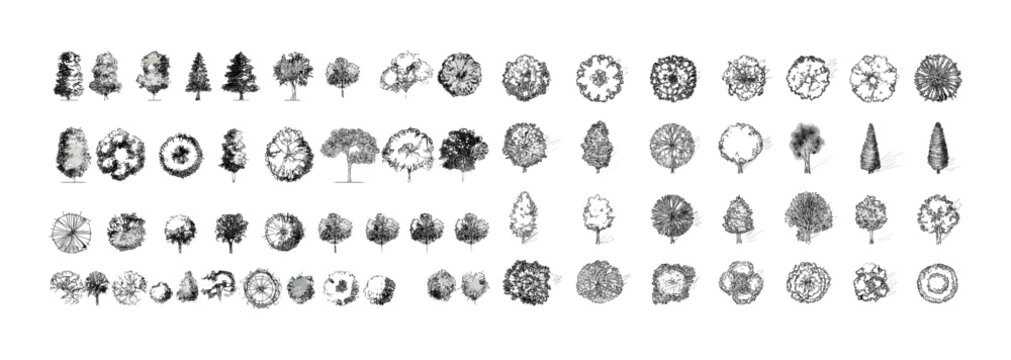 Tree top view line art vector illustration set, hand drawn tree shapes for urban planning, landscape architecture, garden layout, blueprint elements, mapping, park design.
