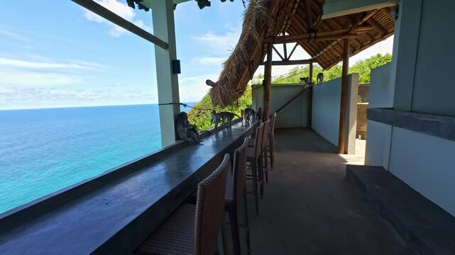 Monkeys exploring the Pura Luhur temple cliffside with ocean views in Bali