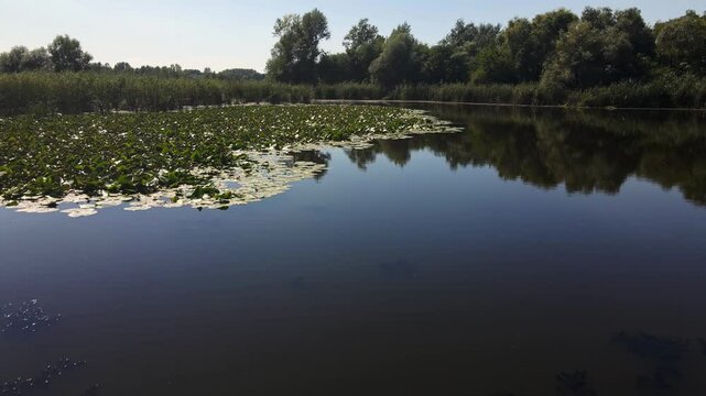 Exploring the tranquil waters of bara reva at midday