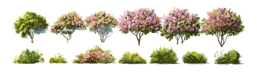 Vector illustration, forest tree side view with flowers, blooming watercolor foliage for architecture and garden layout, landscaping concept, nature background, cutout.